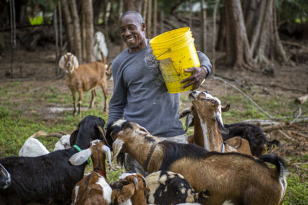 Raising Goats for Meat and Milk Image
